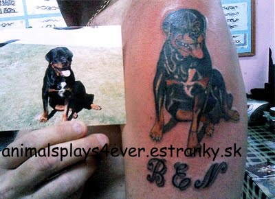 dog tattoo sketch from photo